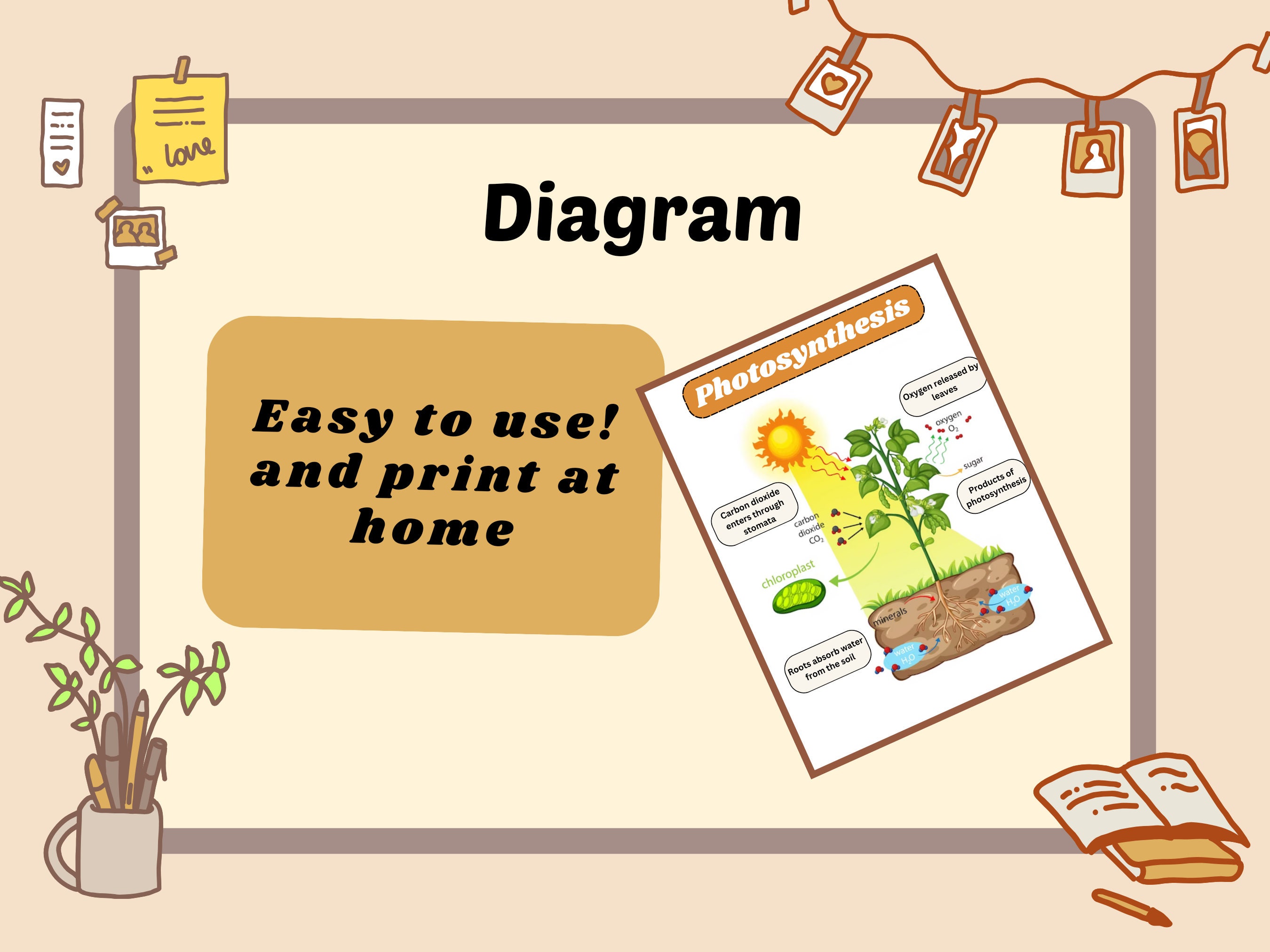 Photosynthesis Biology Diagram Notes Science Diagram for Kids Students