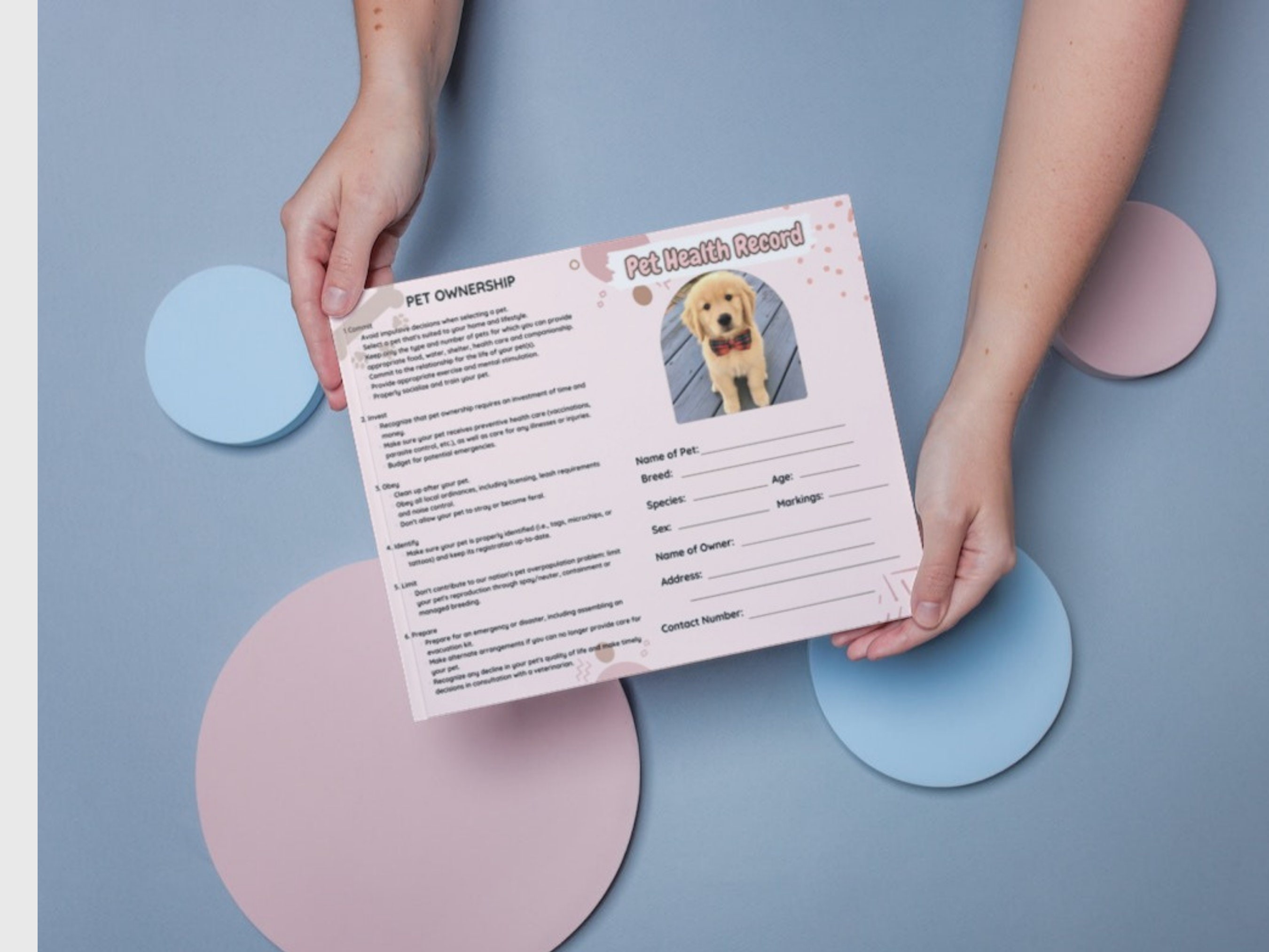 Pet Record Book Template L Vaccination Tracker Digital Record Book Dog ...
