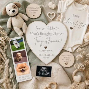 以下が含まれることがあります： 「Baby Charlotte」と書かれたクリーム色のベビー服、ぬいぐるみ犬、そして「Guess What? Mom's Bringing Home a Tiny Human!」と書かれたハート型のサインと「September 2026」の日付が特徴のベビー発表。