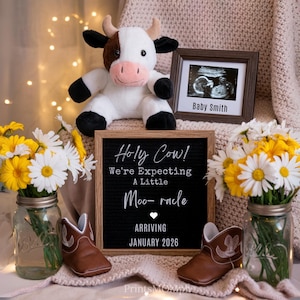 Western pregnancy announcement Highland Cow Pregnancy Announcement Western baby gender Neutral Announcement social media reveal Country farm