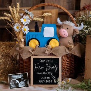 Koe babyaankondiging digitale boerderij zwangerschapsaankondiging highland koe babyjongen aankondiging sociale media blauwe tractor bby bewerkbare sjabloon