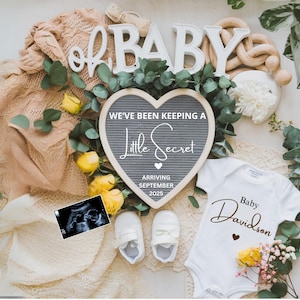 Pregnancy Announcement Template Digital Pregnancy Announcement Baby Announcement Instant Download Editable Baby Announcement Little Secret