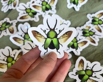 Hand Drawn Green Stag Beetle Sticker: Gloss Vinyl Decal, Weatherproof