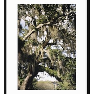 Beaufort, SC