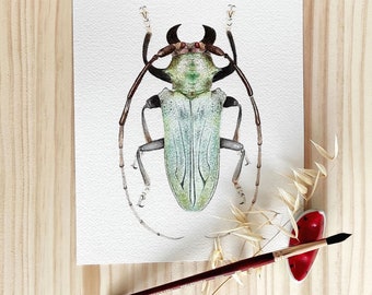 Dekorativer Kunstdruck, Prosopocera Käfer handgemaltes Aquarell, Original Aquarell, Insekt wissenschaftliche Illustration Wandkunst