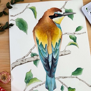 Pittura di gruccione europeo, disegno originale di uccelli ad acquerello dipinto a mano, arte della fauna selvatica