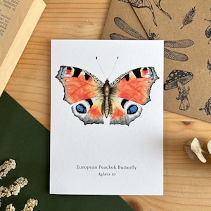 Rote Aglais io Schmetterling Grußkarte, blanko Insektenkarte, illustrierte Karte im Vintage-Stil, Entomologie Geschenk