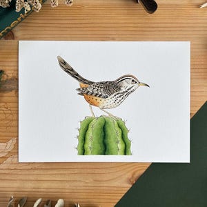 Stampa con sonaglio del deserto ad acquerello, illustrazione di uccelli su cactus, stampa artistica decorativa campylorhynchus brunneicapillus