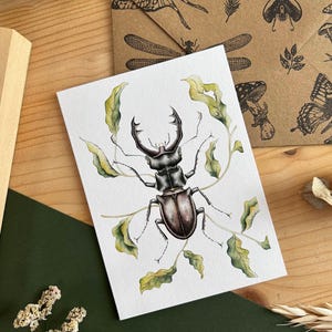Carte de voeux avec un lucane cerf, carte de vœux avec un insecte, impression d'entomologie, illustration d'art botanique à l'aquarelle