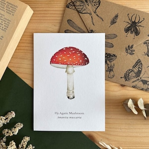 Biglietto di auguri con fungo Amanita muscaria, biglietto di auguri con fungo, mini illustrazione vintage di champignon, regalo di compleanno botanico