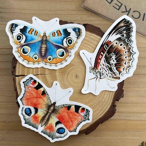 Peacock, Junonia, and Cethosia butterfly stickers, colorful insect decals, set of 3 stickers