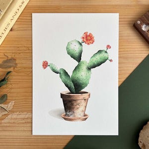 Stampa di fico d'india ad acquerello, illustrazione botanica della pianta di opuntia con fiori