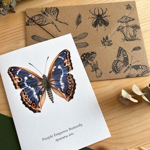 Schillernde lila Schmetterlingskarte, Insekten-Grußkarte, Geschenk für Entomologie-Liebhaber, Vintage-Kunstkarte