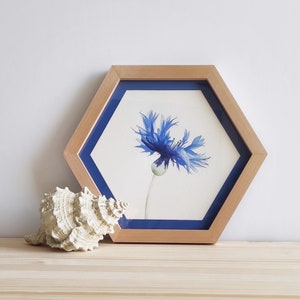 Houten schilderij met originele aquarel handgeschilderde korenbloembloem, wanddecoratie in blauwe tinten met zeshoekige lijst, bloemsierkunst tekening