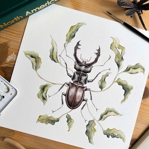 Origineel aquarelschilderij van een vliegend hert, met de hand geschilderde aquarelwetenschappelijke illustratie van een kever tussen bladeren, insectenkunst