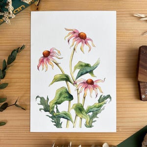 Impresión flores en acuarela, obra de arte de equinácea, bonita pintura botánica con estampado de flores silvestres de estética vintage