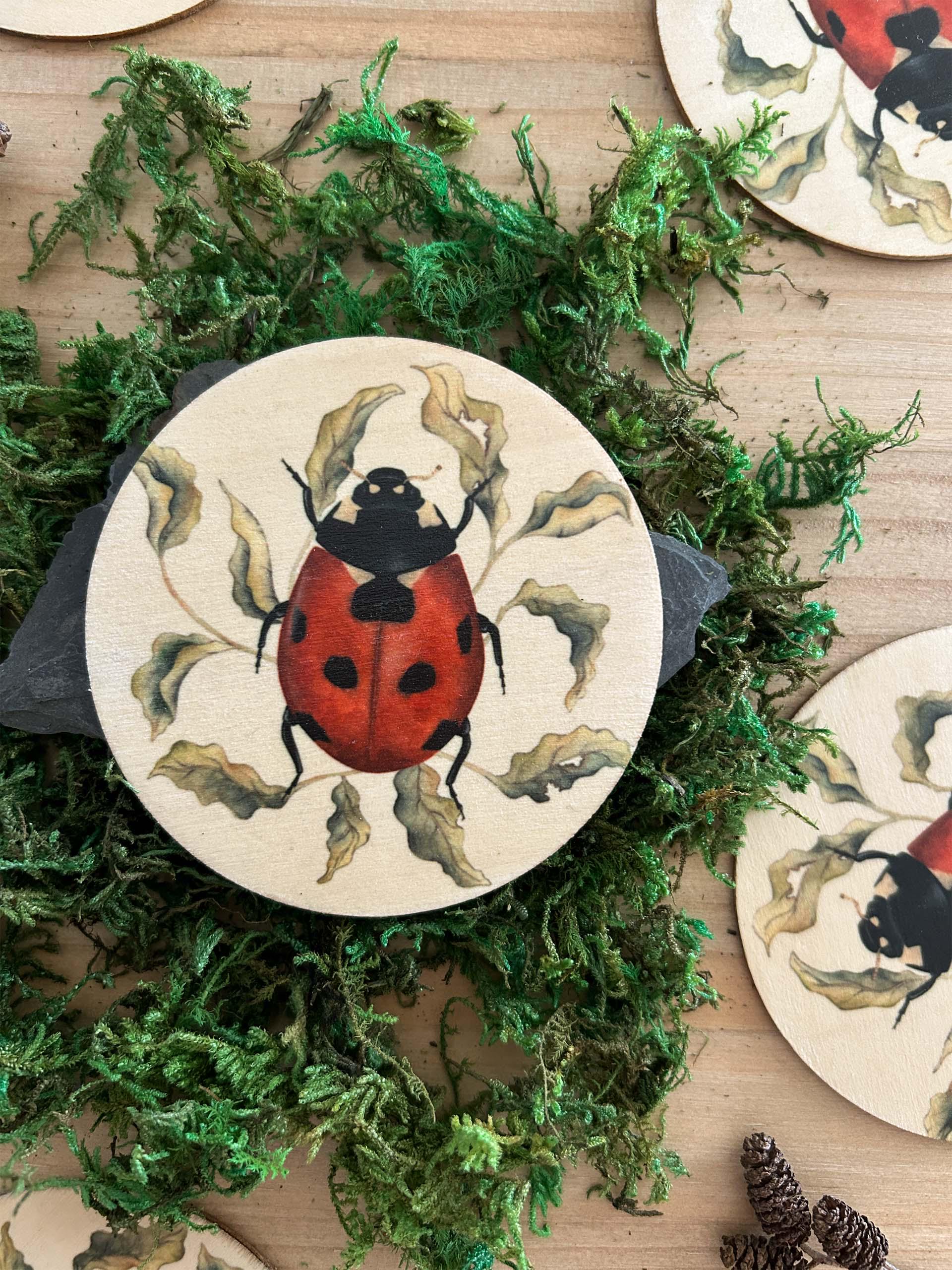 Set 4 Sottobicchieri In Ceramica A Forma Di Mucca Con Base In Sughero - Assorbenti, Decorativi - 2
