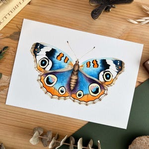 Arte murale a forma di farfalla ad acquerello, stampa a forma di farfalla ad acquerello, arte murale a forma di insetto, decorazione murale a forma di farfalla in stile bohémien