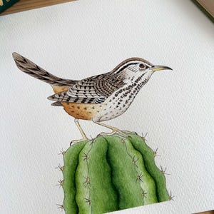 Illustrazione originale ad acquerello di un uccello a sonagli del deserto su un cactus, dipinto a mano, decorazione a forma di uccello per gli amanti della natura.