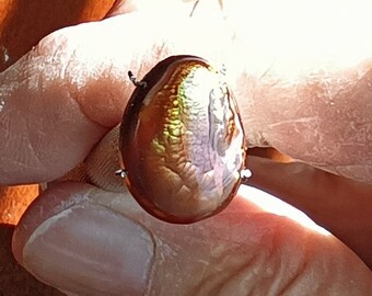 Fire Agate Cabochon