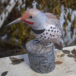Papercraft modèle 3D en papier oiseau Northern Flicker