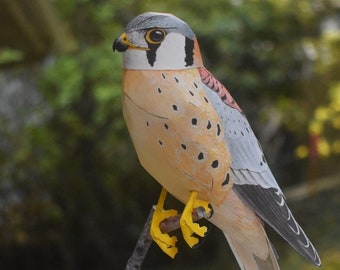 Papercraft 3D Cernícalo americano modelo de pájaro realista escala 1/1