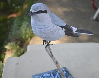 Papercraft 3D Oiseau modèle papier Pie-grièche nordique échelle 1/1