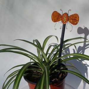 Könnte beinhalten: Eine Topfpflanze mit Spinnenpflanze und einem dekorativen Schmetterlings-Gartenstab. Der Stab ist aus schwarzem Metall mit einem braunen und orangefarbenen Schmetterlingsdesign.