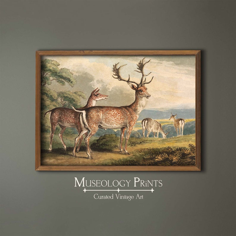 Stag, Doe & Fawns Vintage Painting | Antique Deer Art Print | Wildlife ...