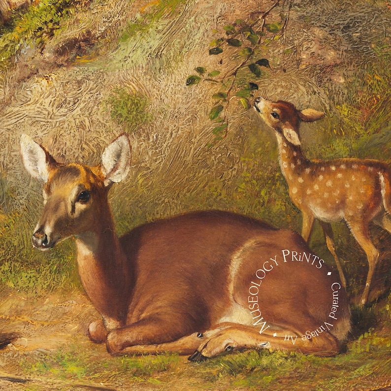 Doe and Fawns Vintage Oil Painting | Country and Farm Antique Deer ...
