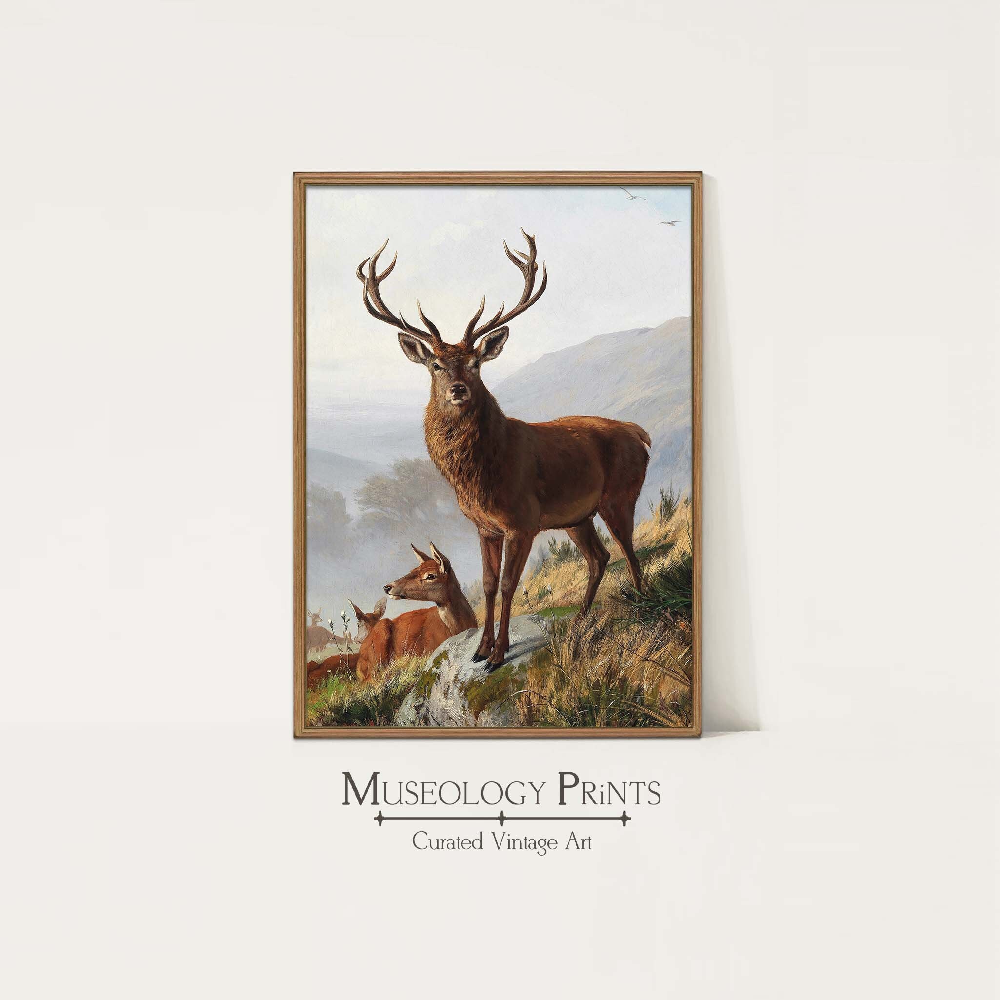 Stag and Doe Vintage Oil Painting | Antique Deer Art Print | Wildlife ...