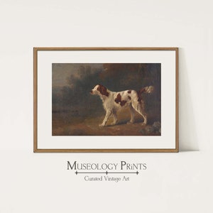 Pode incluir: Uma impressão emoldurada com uma pintura vintage de um cão com marcas brancas e castanhas. O cão é retratado num cenário naturalista com um fundo escuro. A impressão está numa moldura de madeira. O texto "MUSEOLOGY PRINTS" e "Curated Vintage Art" está na parte inferior.