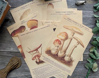 Junk journal kit, ephemera kit, gothic,  paper , mushroom illustration, herbiary