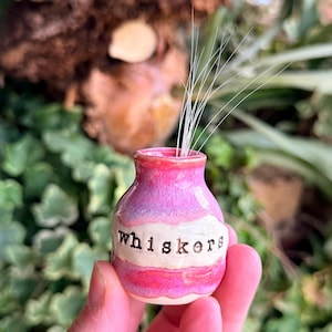 May include: A small, hand-painted ceramic vase in shades of pink and white, with the word "whiskers" in black lettering. The vase holds several long, thin, white strands. The background is blurred with green foliage.
