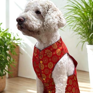 Kesari Kesar dog sherwani, Indian dog outfit, Dog Kurtas, Pet wedding outfit, Dog Wear,