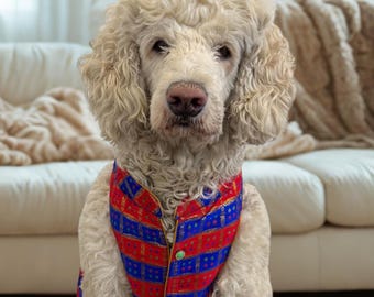Joker Pet Sherwani Indian dog outfit, Indian pet sherwani, pet wedding outfit, dog sherwani, Embroidered dog Sherwani, Dog Wear