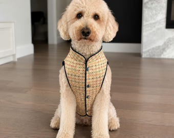 May include: A light-coloured, curly-haired dog wearing a sleeveless vest with a high collar. The vest features a repeating geometric diamond pattern in shades of gold, red, green, and blue, finished with a dark trim and a vertical row of buttons.