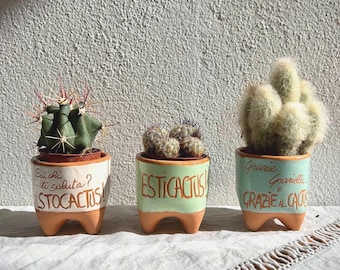 Cactus Pot