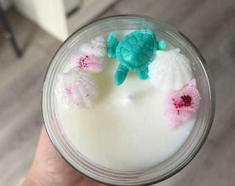 Coastal Reef - Caribbean Fresh Scent - Handmade Candle, Hand poured in a glass-no lid, wax seashells and turtle on top, 12oz, Home Decor