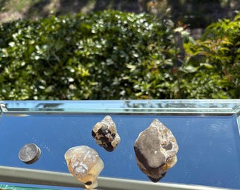 Agates from the Northern Oregon Coast