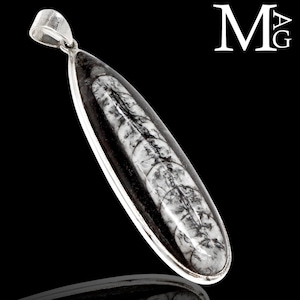 Puede incluir: Un colgante en forma de lágrima con una incrustación de fósil de ortoceras pulido con patrones segmentados en blanco y negro, encerrado en un marco de metal plateado liso con una reasa. Las letras MAG son visibles en la esquina superior derecha.