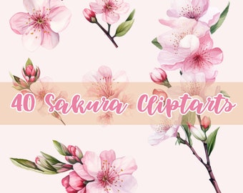 Aquarelle fleurs de cerisier clipart, sakura aquarelle PNG