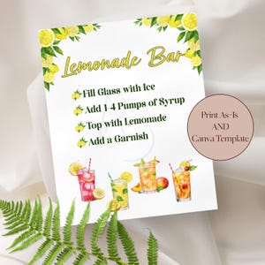 Placa de bar de limonada para formatura, festa de aniversário, chá de bebê ou chá de panela, modelo editável do Canva ou para impressão imediata, 8x10"