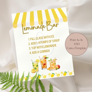 Placa de bar de limonada para formatura, festa de aniversário, chá de bebê ou chá de panela, modelo editável do Canva ou para impressão imediata, 8x10"