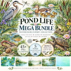 Op de afbeelding: Een aquarel clipart collectie getiteld POND LIFE MEGA BUNDLE met een reiger, eend met kuikens, kikker, schildpad, vissen, salamander, slak, libellen, waterlelies en lisdodden, inclusief vijf vijverachtergronden en een kikkerlevenscyclusset.