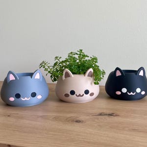 Può includere: Tre vasi a forma di gatto in fila, ognuno con un colore e un'espressione diversi. I vasi sono azzurri, beige e neri. I vasi azzurri e neri hanno accenti rosa sulle orecchie e sulle guance. Una piccola pianta verde è al centro.