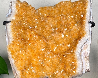 Citrine Crystal Cluster on custom stand 10lbs 5.9oz, Heat Treated Amethyst - Brazil
