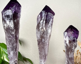 Amethyst Crystal Root Wand on custom stand - Brazil - SELECT ONE