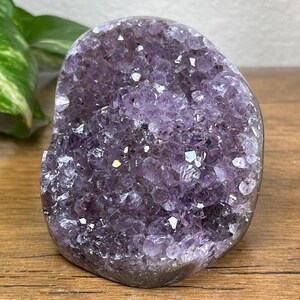 Uruguayan Amethyst Crystal Geode 1lb 1.3oz