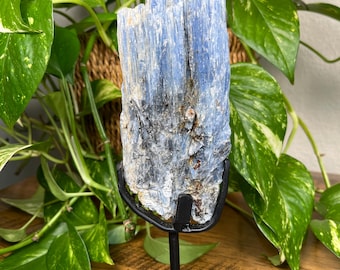 Blauwe kyanietkristallencluster op aangepaste standaard 1 lb 2,7 oz - Brazilië